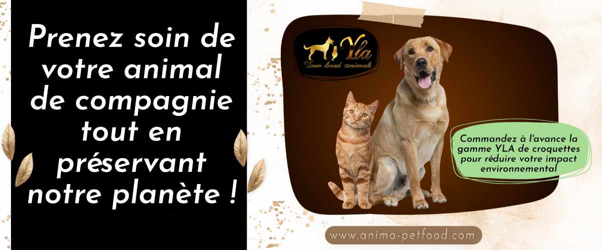 demarche-eco-responsable-commandez-a-l-avance-les-croquettes-pour-votre-animal